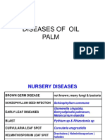 Diseases of Oil Palm Pictures Pps