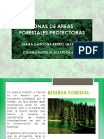 Zonas Forestales Protectoras