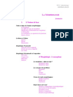 Morphologie