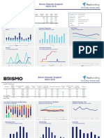 Brismo Analytics Loan Vintage Analysis