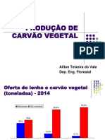 Produção de Carvão Vegetal