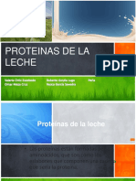 Proteinas de La Leche