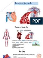 Síndrome Cardiovascular Sangre