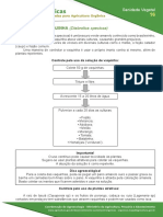 16 Controle de Vaquinha Diabrotica Speciosa