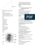 Aparato Reproductor Femenino