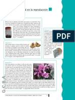 Diversidad Biologica y Ambiental. Paginas para El Alumno-13-14