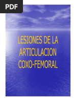 Lesiones de La Articulacion Coxofemoral