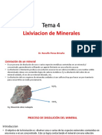 Tema 4A Lixiviacion