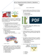 7º Prueba Objetiva Biología 2do Periodo