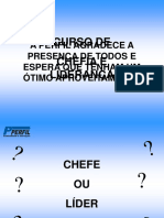 Chefia e Liderança