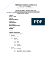 Esquema Del Informe de Desarrollo de Tesis UNT 2019 (Nueva Estructura) - ACTUALIZADO