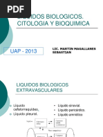 Liquidos Biologicos Uap