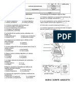 Prueba Del Sistema Respiratorio