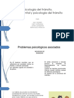 Salud Mental y Psicología Del Tránsito