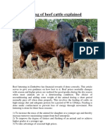 Pen Fattenning of Beef Cattle Explained