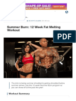 Summer Burn - 12 Week Fat Melting Workout