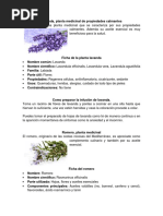 Plantas Medicinales