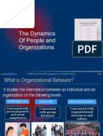 The Dynamics of People and Organizations: Mcgraw-Hill/Irwin © 2002 The Mcgraw-Hill Companies, Inc., All Rights Reserved