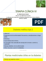 Fitoterapia Clínica Vi PDF