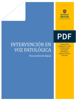 Documento de Apoyo IVP 2013