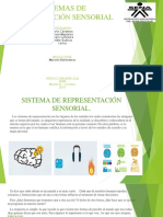 Sistemas de Representacion Sensorial