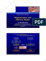 Regeneration and Fibrous Repair Kuliah