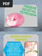 Higiene Femenina