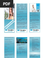 Triptico Telmex