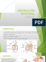 Obstruccion Intestinal