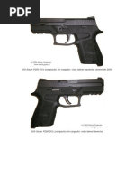 Descripcion de Arma Sig Sauer P 250