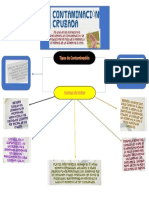 Mapa Conceptual Contaminacion Cruzada