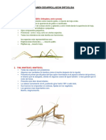 Examen Desarrolladon Entoolgia