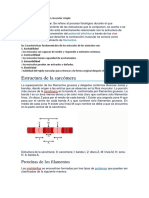 Fisiologia de La Contracción Muscular Simple