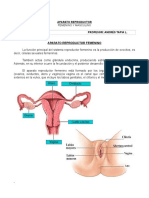 Aparatos Reproductores