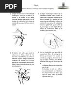 Taller Dinamica Parcial