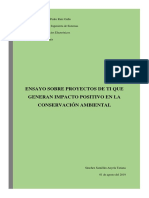 Proyectos de TI y El Impacto Positivo en El Ambiente