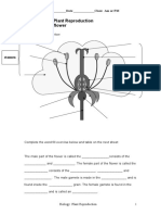 Life Science: Plant Reproduction Structure of A Flower: Stamen