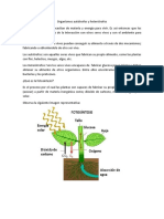 Organismos Autótrofos y Heterótrofos