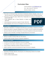 Curriculum - Vitae Jose Manuel Ruiz