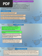 Operacion y Mantenimiento Laguna de Oxidacion