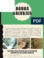 Aguas Salvajes