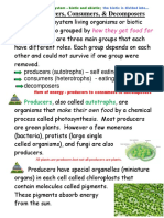 2 Energy Flow Producers Consumers Decomposers