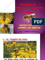 Datos Curiosos Sobre Las Abejas