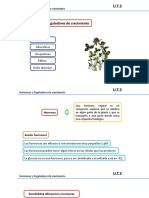 Clase 15. Hormonas Vegetales