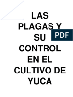 Trabajo Proyecto La Yuca