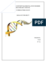 Deoxyribo Nucleic Acid