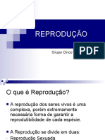 REPRODUÇÃO