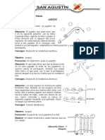 Planeacion Educacion Fisica