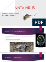 Hantavirus