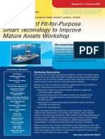 Workshop: Application of Fit-for-Purpose Smart Technology To Improve Mature Assets Workshop